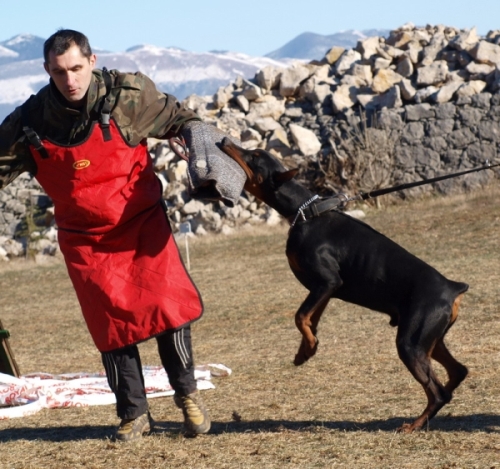 1Rad Kastav1 001.jpg