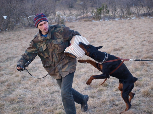 6nitro jan 2009 int5.jpg