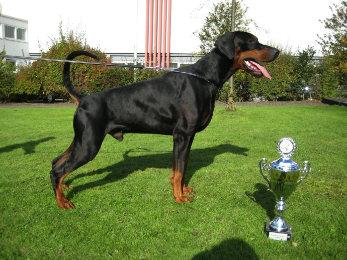 Hilo von Nemesis Bundessiegerschau 2009.jpg